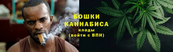 сатива Краснотурьинск