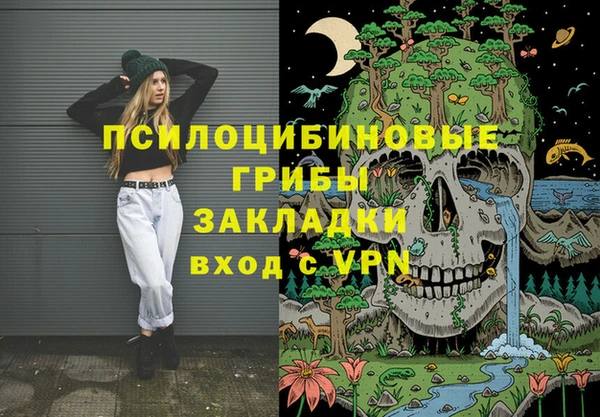 дмт Краснослободск