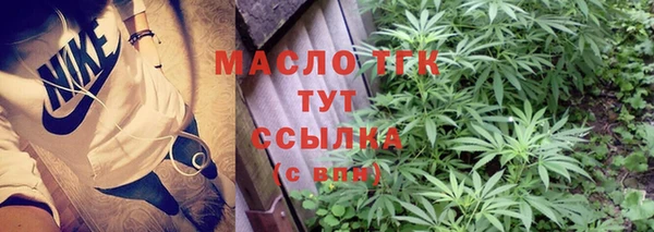 дмт Краснослободск