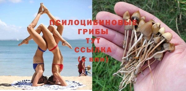 сатива Краснотурьинск