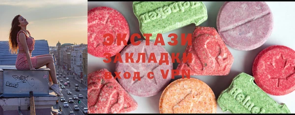 дмт Краснослободск