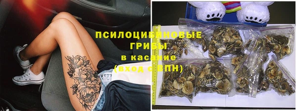 сатива Краснотурьинск