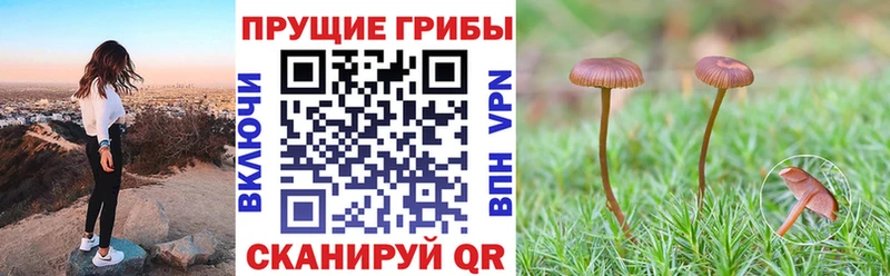 Псилоцибиновые грибы GOLDEN TEACHER  Миллерово 