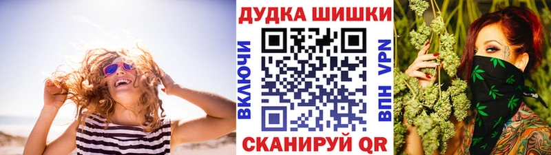 Конопля сатива Миллерово