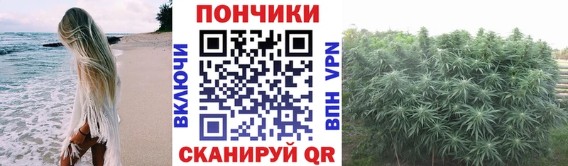 Бошки Шишки семена  Миллерово 